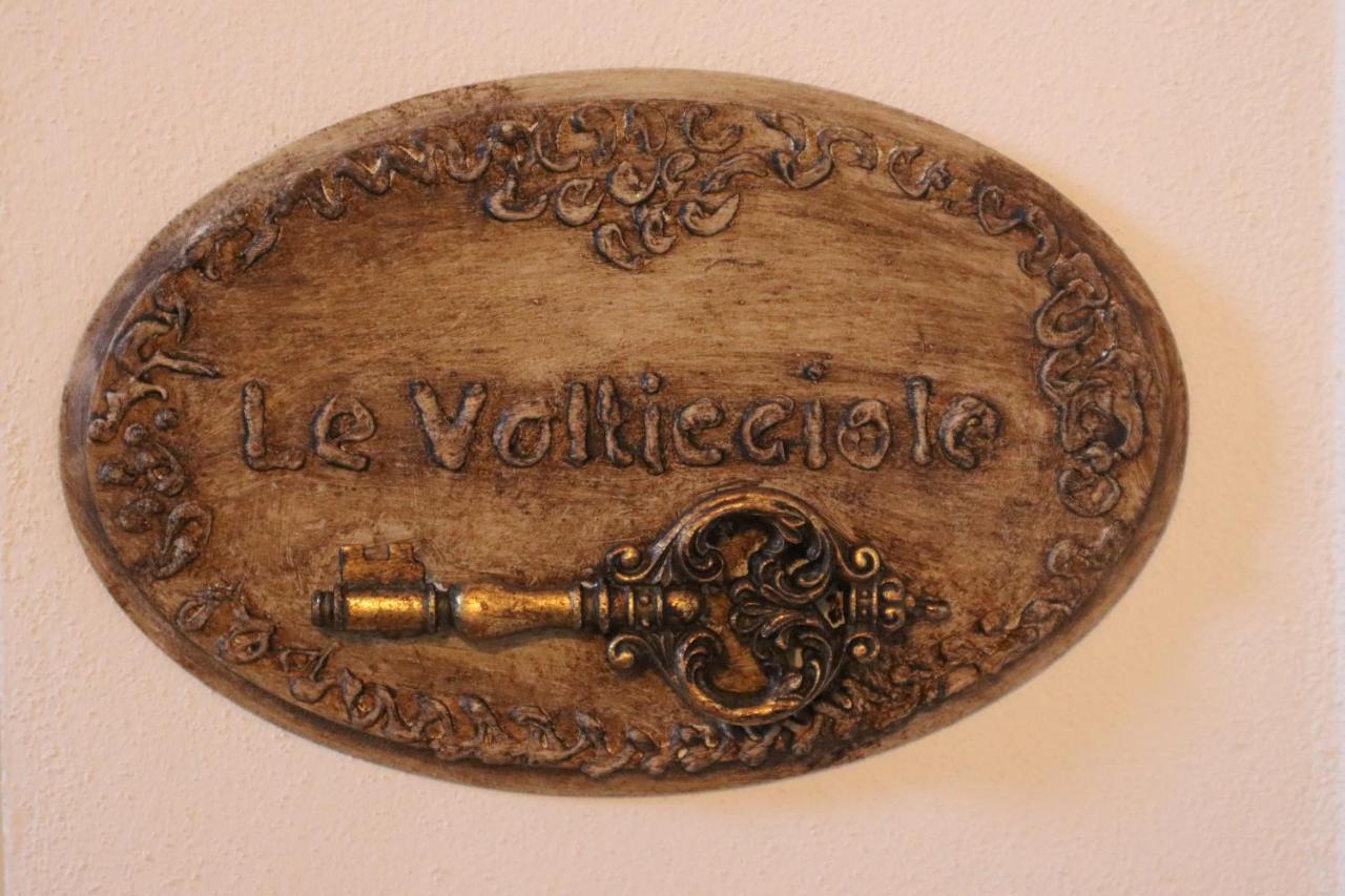 B&B La Taccola Castelnuovo di Val di Cecina Exterior photo